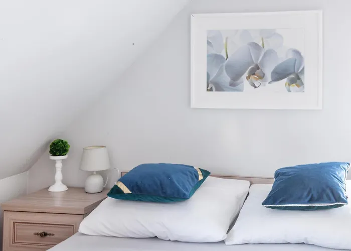 Goscinne Izabela Couette-café